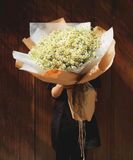 Bó Hoa Cúc Tana A0011