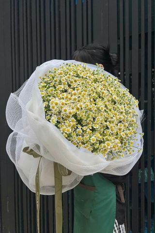 Bó Hoa Cúc Tana A0015