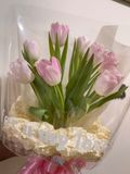 Bó Hoa Tulip Hồng 8-3 BH027