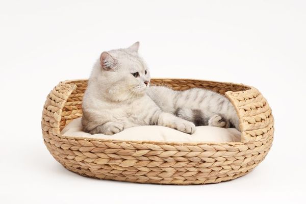  Lafos  Water Hyacinth Pet Bed for Cats and Dogs- Pet nest 