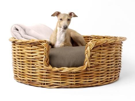  Lafos HandiCraft-Manufacturing High Quality Natural Rattan Pet Bed With Soft-Pet Nest 