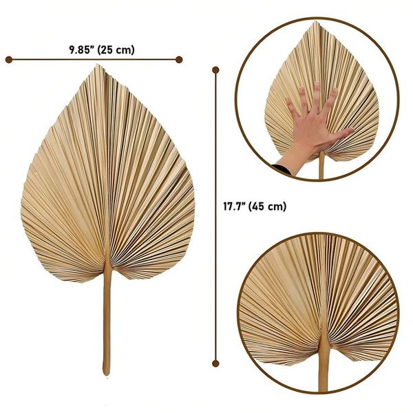  Lafos HandiCraft- 3pcs Artificial Dry Palm Leaves - Flowers Wall Decor Plant-Fan decor 