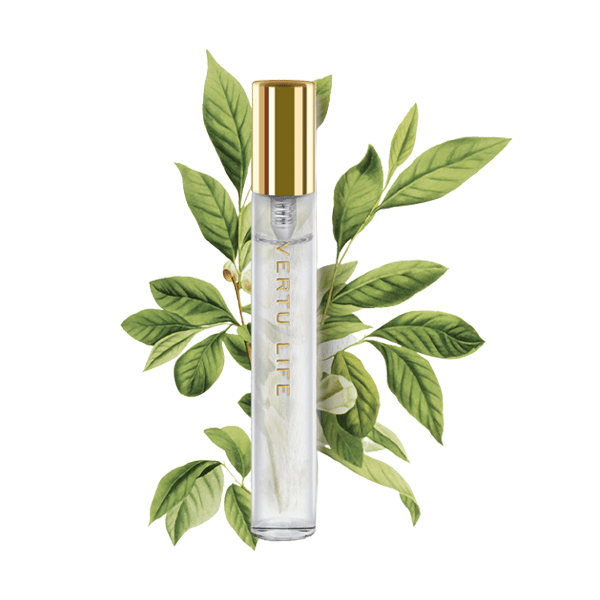  VERTU The Sanctuary Perfume Dark Night 