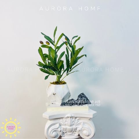 Chậu cây mini cây ô liu giả cao cấp