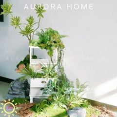 Set tiểu cảnh cây giả set up Studio