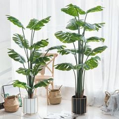 Cây Monstera giả trang trí tán xoè trang trí phòng