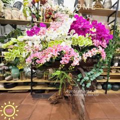 Chậu hoa Lan Hồ Điệp thiết kế theo yêu cầu