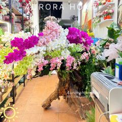 Chậu hoa Lan Hồ Điệp thiết kế theo yêu cầu