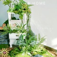 Set tiểu cảnh cây giả set up Studio