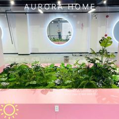 Set tiểu cảnh cây giả bồn hoa trang trí phòng tập gym