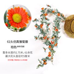 Hoa giả cao cấp Dây leo hoa cúc 175cm