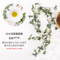 Hoa giả cao cấp Dây leo hoa cúc 175cm