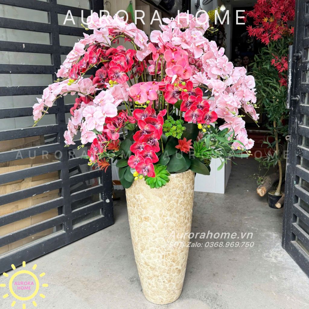 Chậu hoa Lan Hồ Điệp tông màu đỏ hồng tinh tế