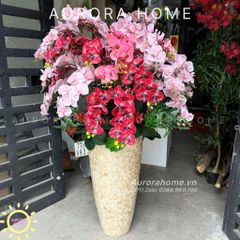 Chậu hoa Lan Hồ Điệp tông màu đỏ hồng tinh tế