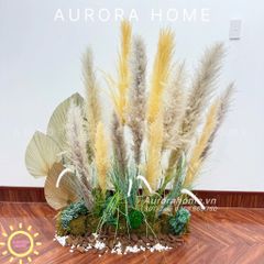 Tiểu cảnh cụm cỏ lau thiết kế theo yêu cầu