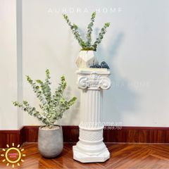 Chậu cây mini cây lá táo phong cách Bắc Âu