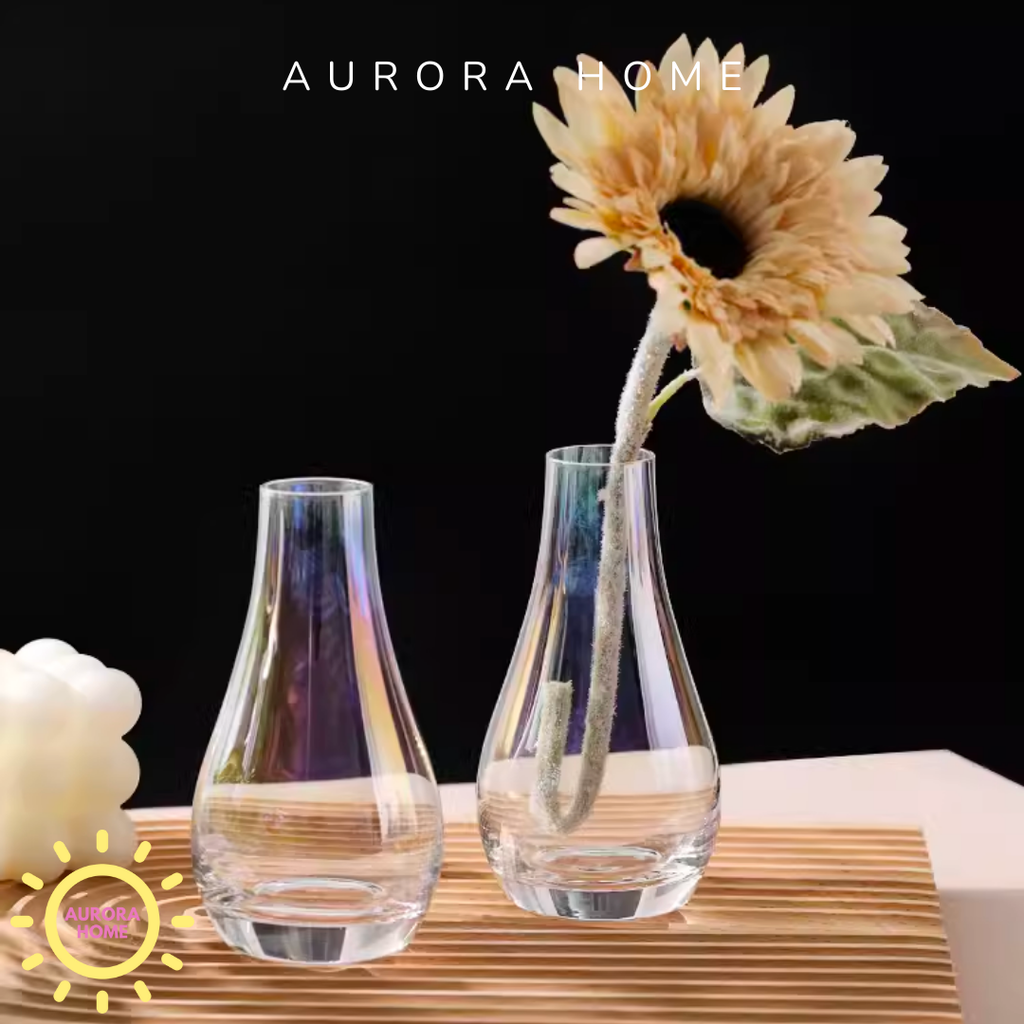 Bình lọ thủy tinh Clara