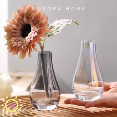 Bình lọ thủy tinh Clara