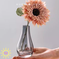 Bình lọ thủy tinh Clara