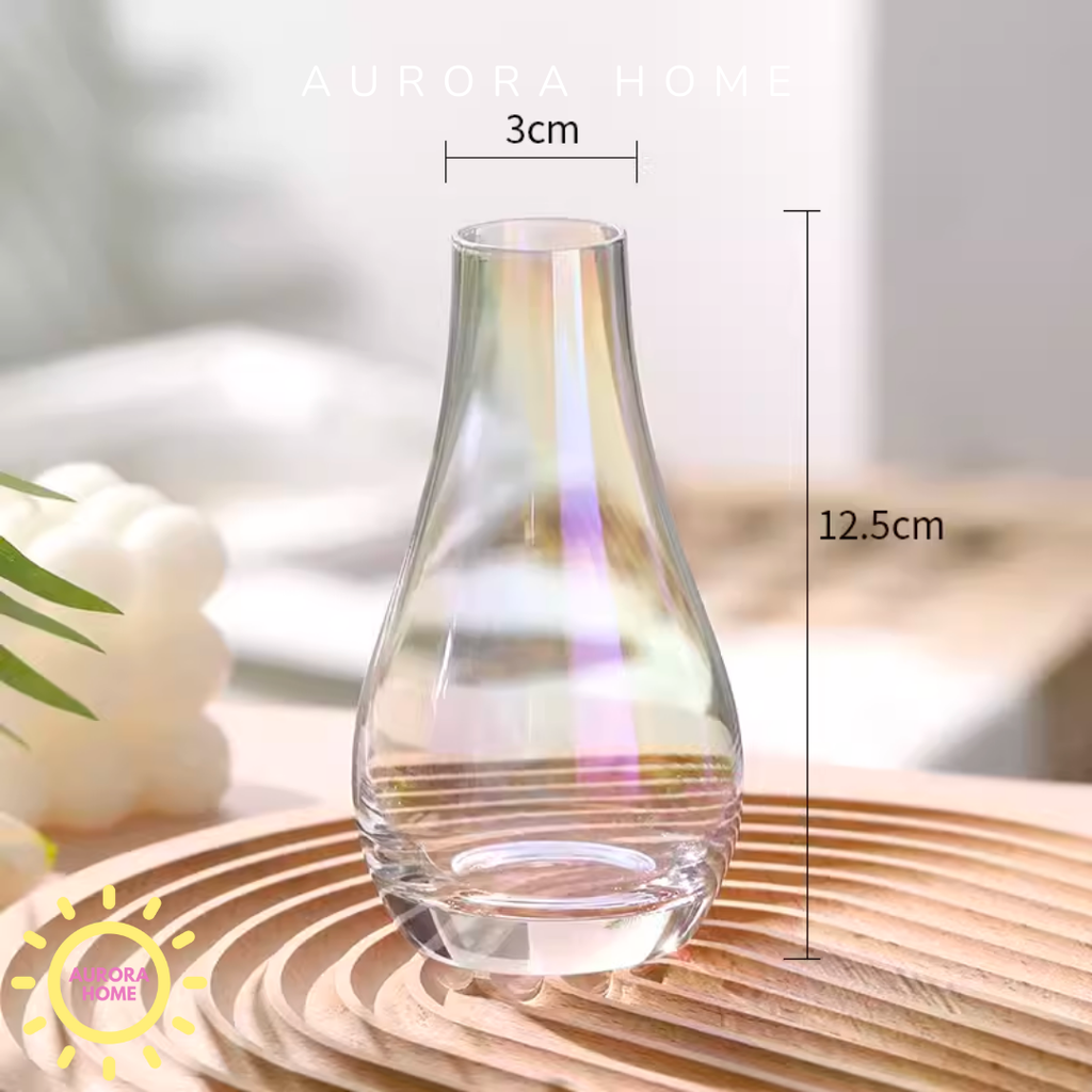 Bình lọ thủy tinh Clara