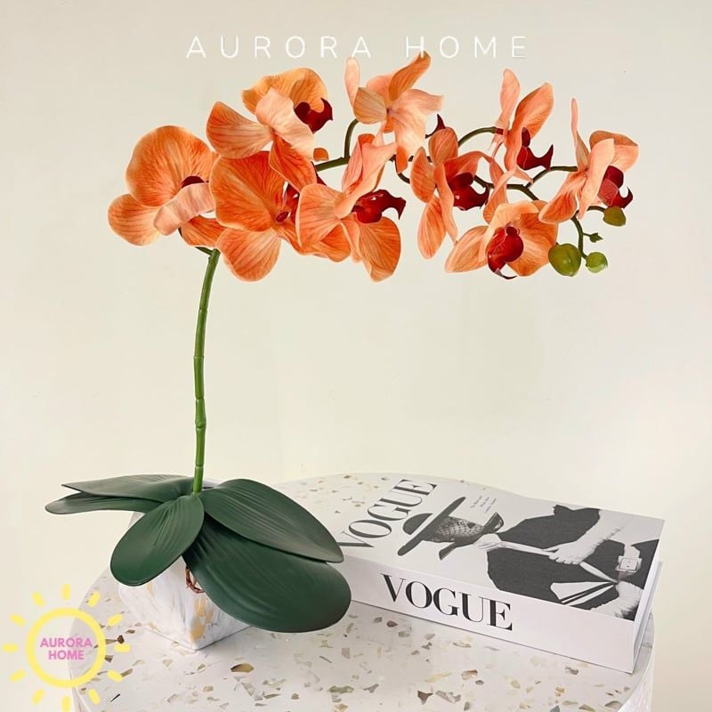 Chậu hoa Lan hồ điệp cao su 3D cao cấp
