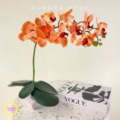 Chậu hoa Lan hồ điệp cao su 3D cao cấp