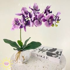 Chậu hoa Lan hồ điệp cao su 3D cao cấp