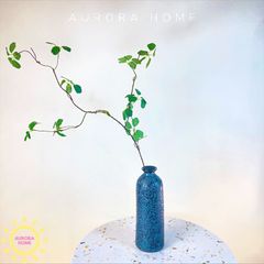 Cành lá Sen Quán Âm Giả (Xanh)