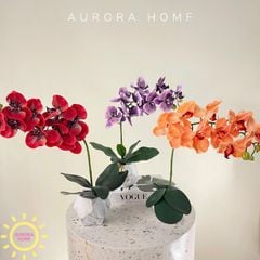 Chậu hoa Lan hồ điệp cao su 3D cao cấp