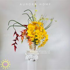 Chậu hoa lan hồ điệp cổ điển Mộng Nhiên
