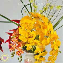 Chậu hoa lan hồ điệp cổ điển Mộng Nhiên