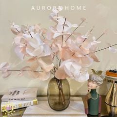 Bình hoa bạch đàn phong cách Hàn Quốc xinh xắn