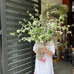 Bình hoa tuyết mai Ánh Sương Ban Mai cao cấp