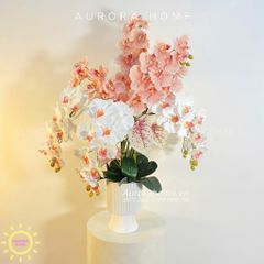 Bình hoa lan Diệu An tông trắng hồng tinh tế