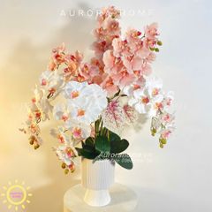Bình hoa lan Diệu An tông trắng hồng tinh tế