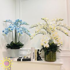Bình hoa giả lan hồ điệp Aurora Fika (Nhiều màu)