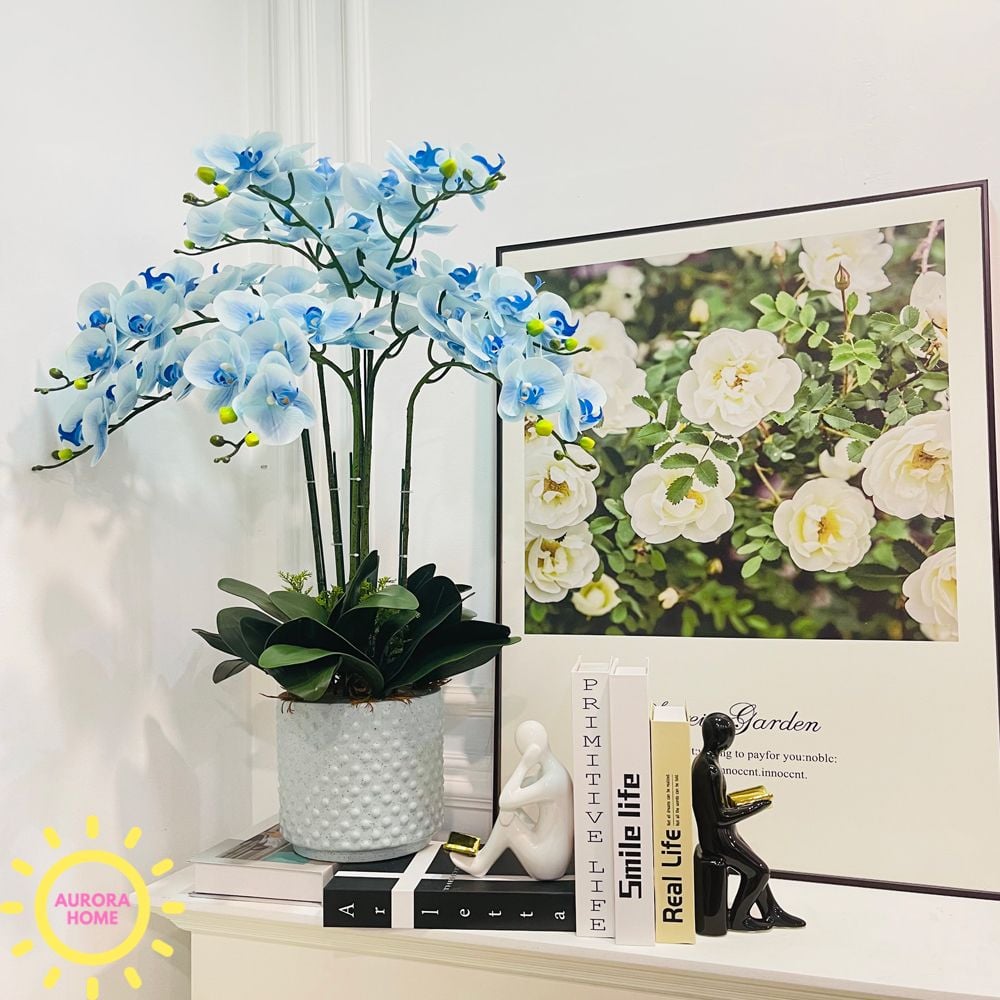 Bình hoa giả lan hồ điệp Aurora Fika (Nhiều màu)