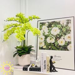 Bình hoa giả lan hồ điệp Aurora Fika (Nhiều màu)