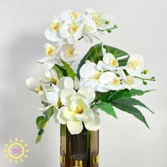 Bình hoa mộc lan tông trắng sang trọng