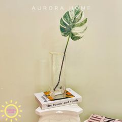 Bình thuỷ tinh cắm hoa Anna