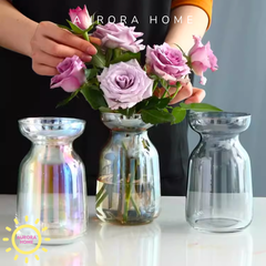 Bình thuỷ tinh Calista hình trụ cao cấp