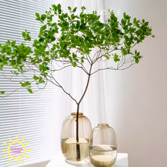 Bình thuỷ tinh Lisa cao cấp