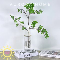 Bình thủy tinh cắm hoa trong suốt Majori