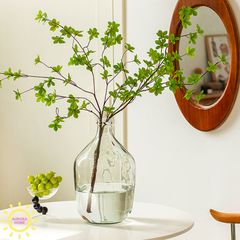 Bình thuỷ tinh trụ lớn Lavenos