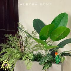 Bồn cây giả trang trí nội thất văn phòng (Mẫu 6)