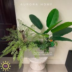 Bồn cây giả trang trí nội thất văn phòng (Mẫu 6)