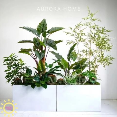 Bồn cây xanh decor trang trí (Mẫu 12)
