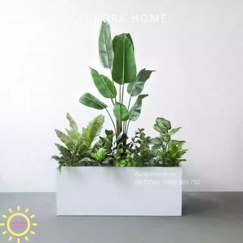 Bồn cây xanh decor trang trí (Mẫu 21)