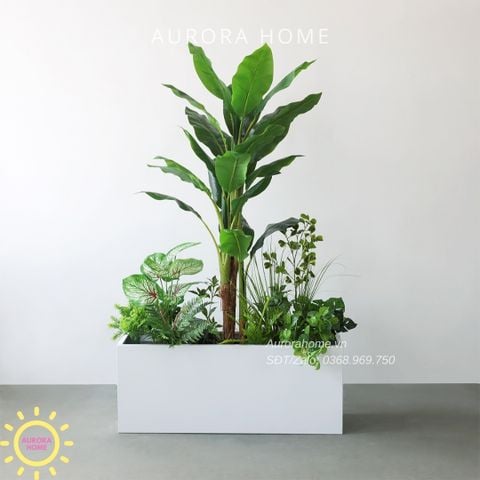 Bồn cây xanh decor trang trí (Mẫu 23)