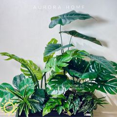 Bồn cây giả trang trí nội thất văn phòng (Mẫu 11)